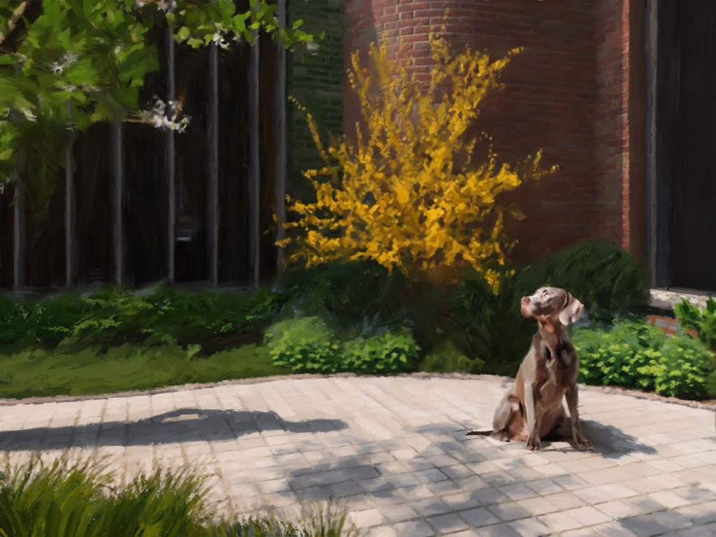 Painted rendering of a dog sitting on the patio of the elevated courtyard at The Village West residences in NYC.